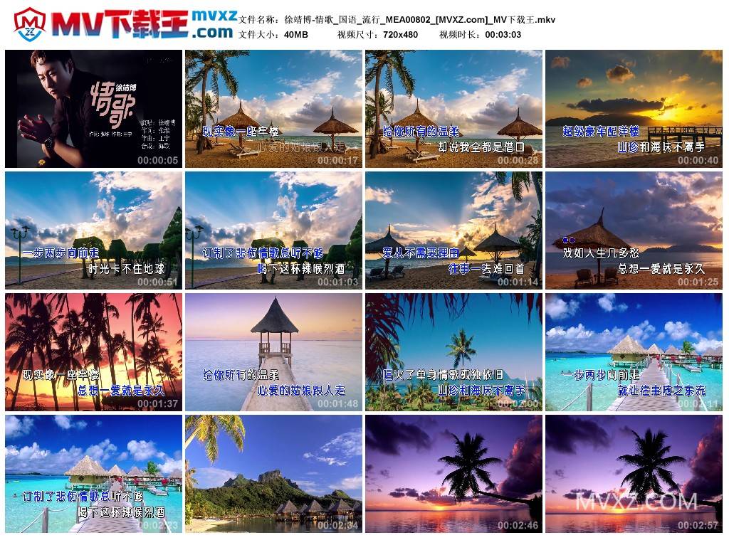 徐靖博-情歌_国语_流行_MEA00802